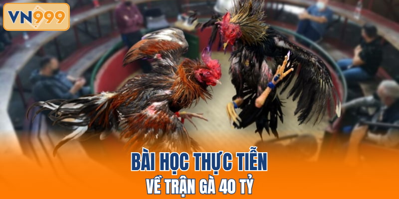 Bài học thực tiễn về trận gà 40 tỷ