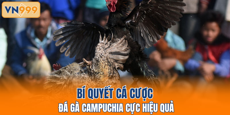 Bí quyết cá cược đá gà Campuchia cực hiệu quả