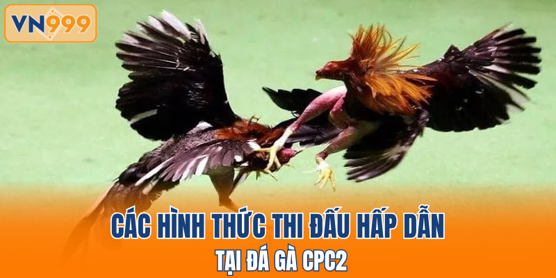 Các hình thức thi đấu hấp dẫn tại đá gà CPC2