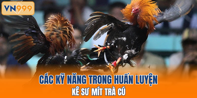 Các kỹ năng trong huấn luyện kê sư mít Trà Cú
