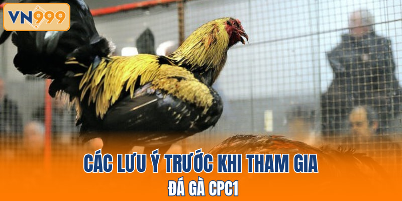 Các lưu ý trước khi tham gia đá gà CPC1