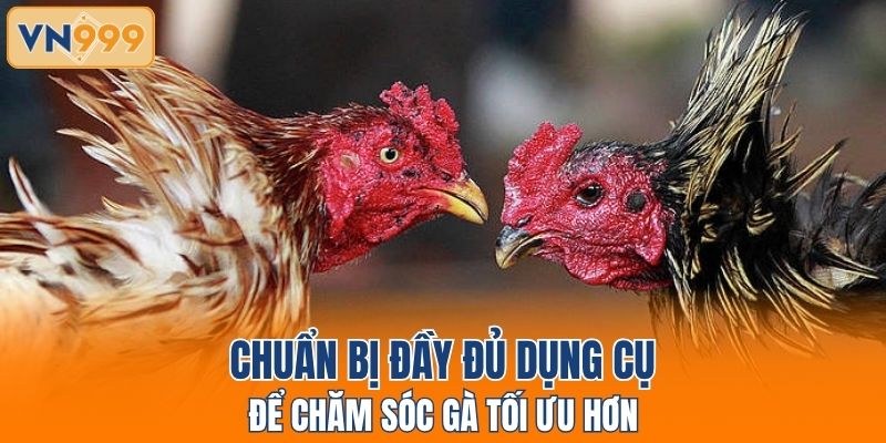 Chuẩn bị đầy đủ dụng cụ để chăm sóc gà tối ưu hơn