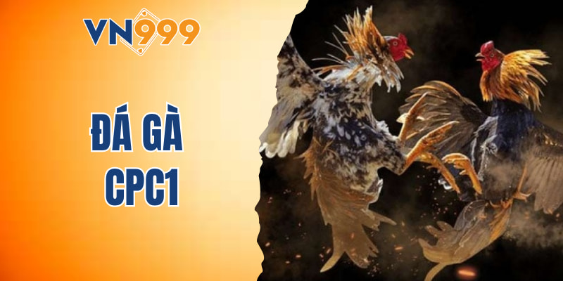 đá gà CPC1