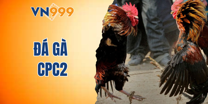 đá gà CPC2