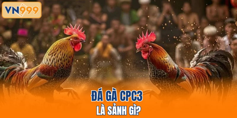 Đá gà CPC3 là sảnh gì?