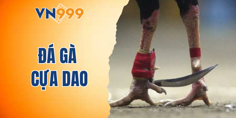 Đá gà cựa dao