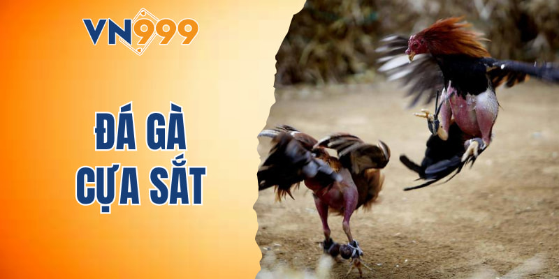 đá gà cựa sắt