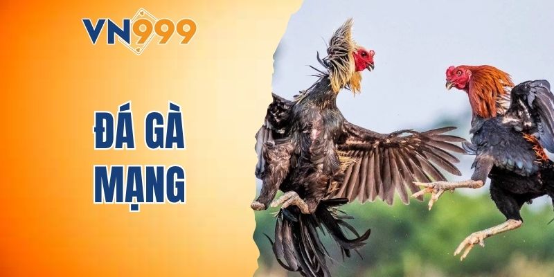 Đá gà mạng