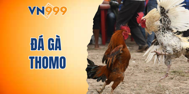 đá gà Thomo