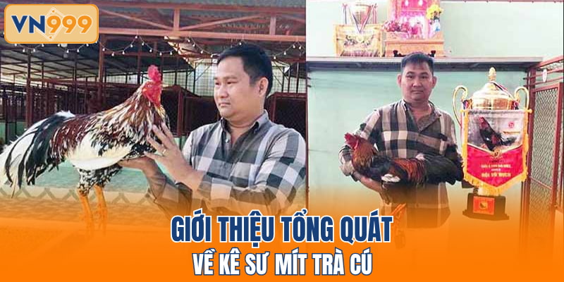 Giới thiệu tổng quát về kê sư mít Trà Cú