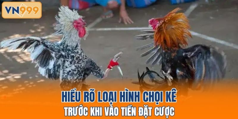 Hiểu rõ loại hình chọi kê trước khi vào tiền đặt cược