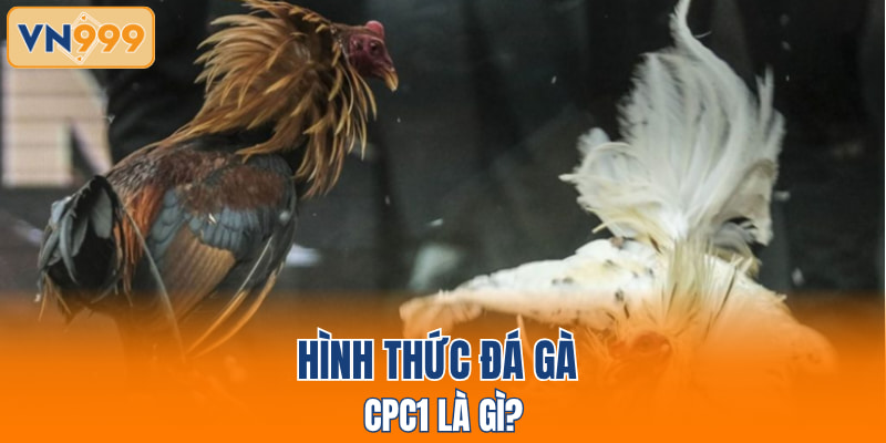 Hình thức đá gà CPC1 là gì?