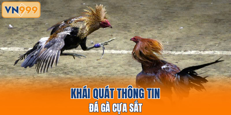 Khái quát thông tin đá gà cựa sắt