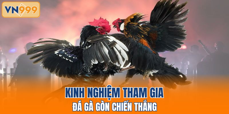 Kinh nghiệm tham gia đá gà gòn chiến thắng