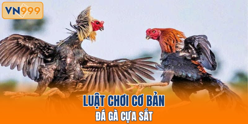 Luật chơi cơ bản đá gà cựa sắt