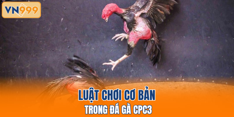 Luật chơi cơ bản trong đá gà CPC3