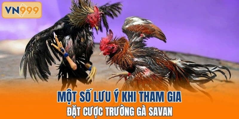 Một số lưu ý khi tham gia đặt cược trường gà Savan