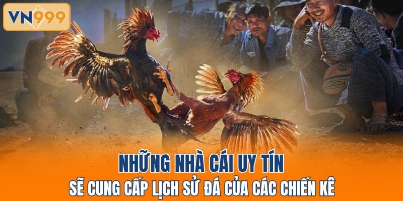 Những nhà cái uy tín sẽ cung cấp lịch sử đá của các chiến kê