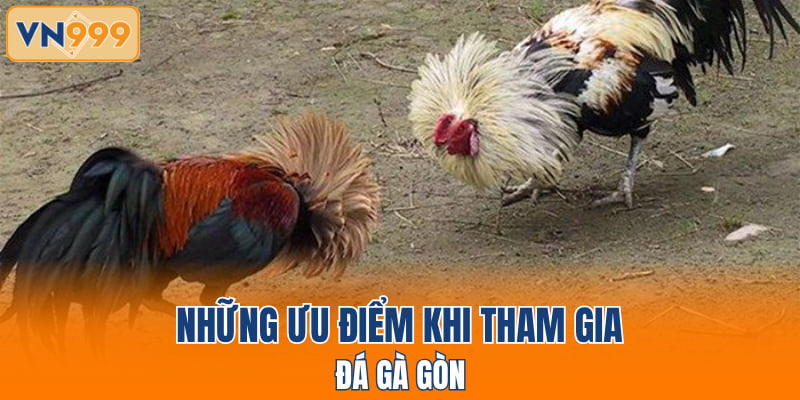 Những ưu điểm khi tham gia đá gà gòn