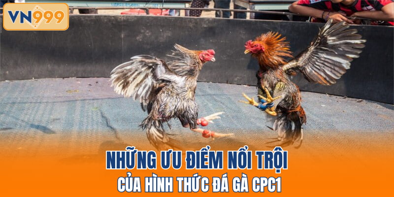 Những ưu điểm nổi trội của hình thức đá gà CPC1