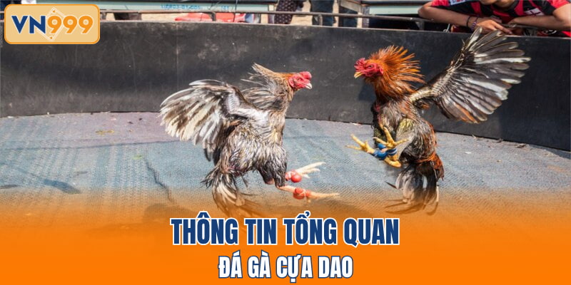 Thông tin tổng quan đá gà cựa dao
