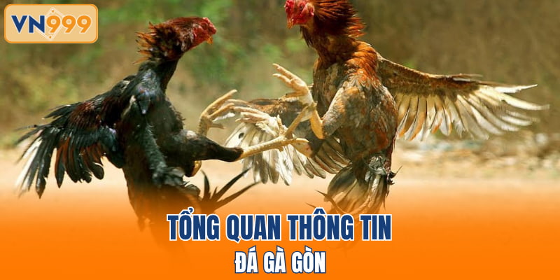 Tổng quan thông tin đá gà gòn