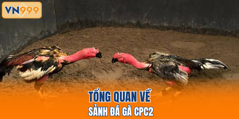 Tổng quan về sảnh đá gà CPC2