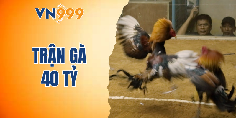 trận gà 40 tỷ