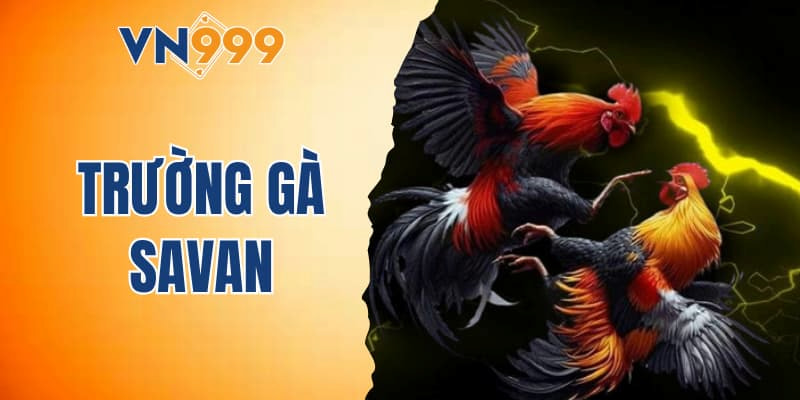 Trường gà Savan