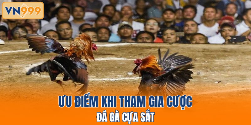 Ưu điểm khi tham gia cược đá gà cựa sắt